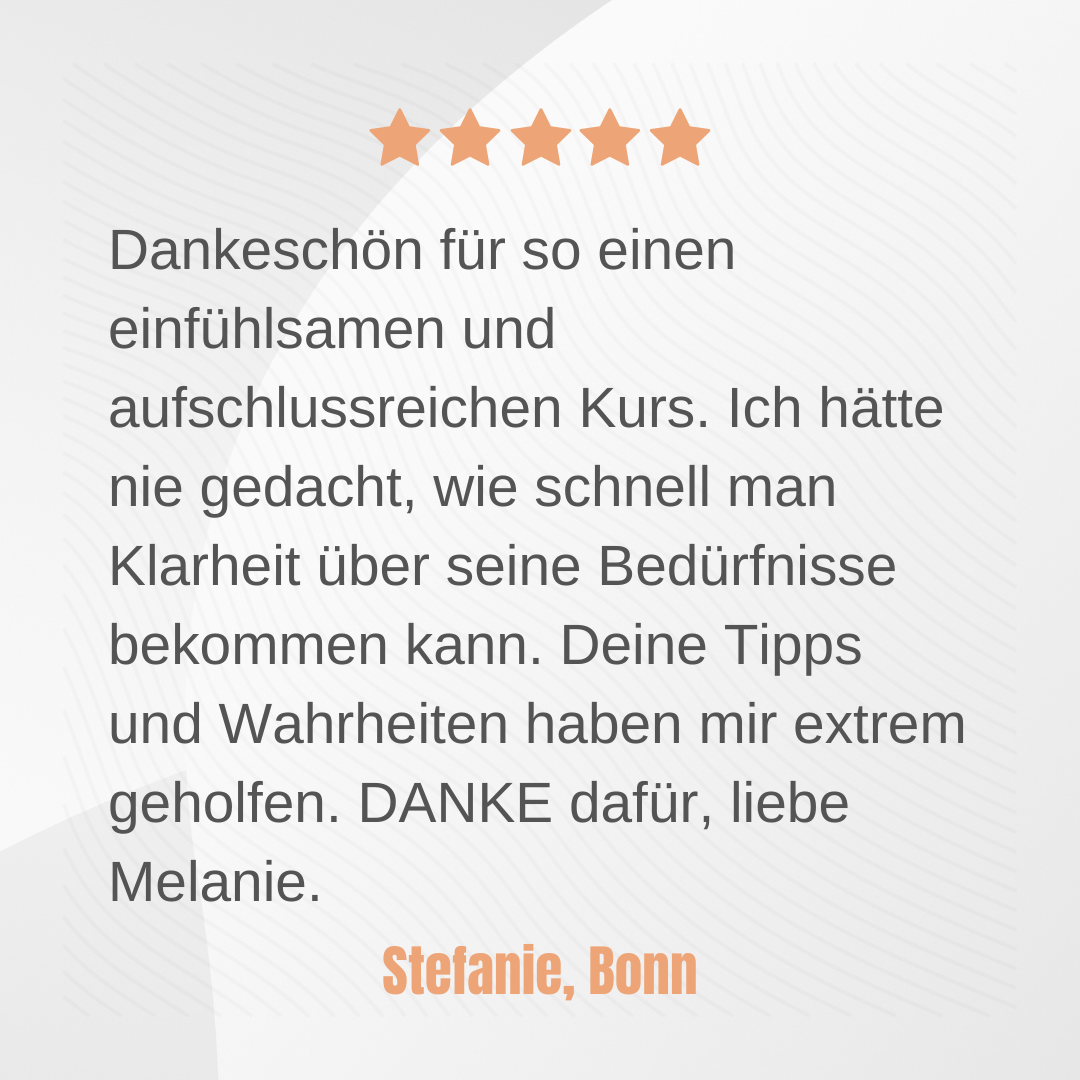 Routine Plus Raumtraumideen Feedback 